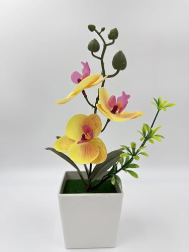 Image of Florona Artificial Orchid Flowers for Decoration with White Plastic Pot | 25 cm Artificial Flowers with Pot | Phalaenopsis Flower with Vase | Realistic Flower for Home, Bedroom, Office (Yellow)