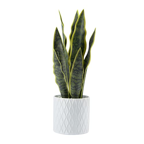What Is The Best Faux Snake Plant On The Market Today BNB