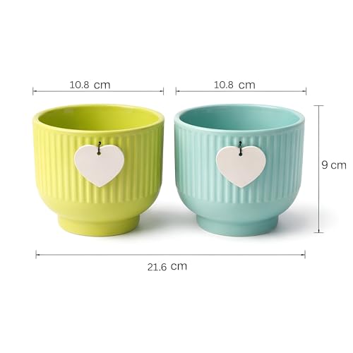Image of Xtore Vibrant Ribbed Ceramic Planter Set for Indoor Plants | Modern Decorative Flower Pots for Desk, Shelf & Home Styling (Pack of 2, Planter only)
