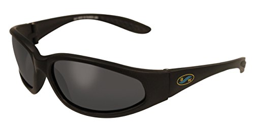 Global Vision Polarized Sunglasses