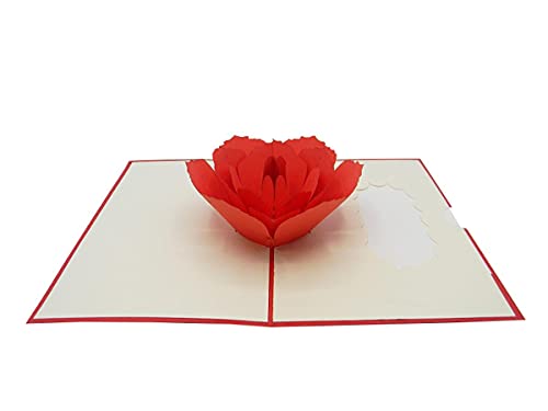 RF Distribution Biglietto Auguri con Origami