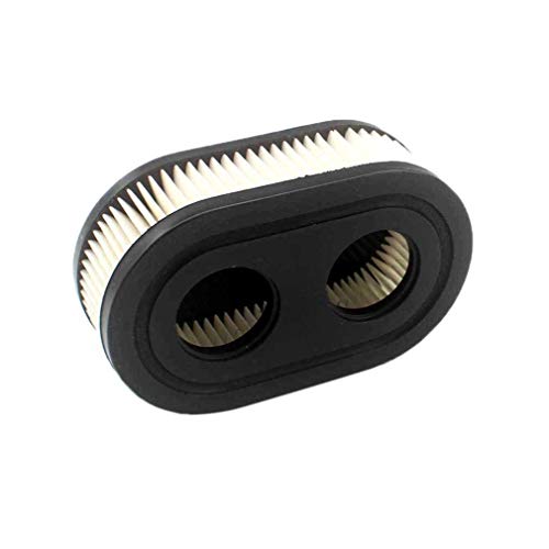 AISEN Filtre à air pour Briggs & Stratton 798452-798339 - 593260-5432 - Série 550 575