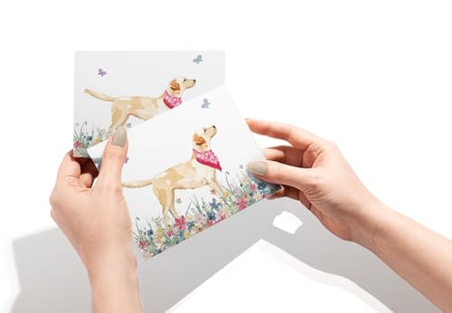Image of Twigs Paper Labrador Retriever Thank You Cards, 12 Dog Note Cards