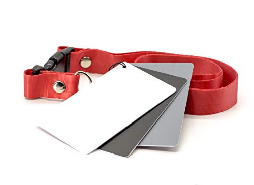 PROtastic 3 en 1 Digital 18  Gris Blanco Negro Juego de Tarjetas Fotografía Exposición