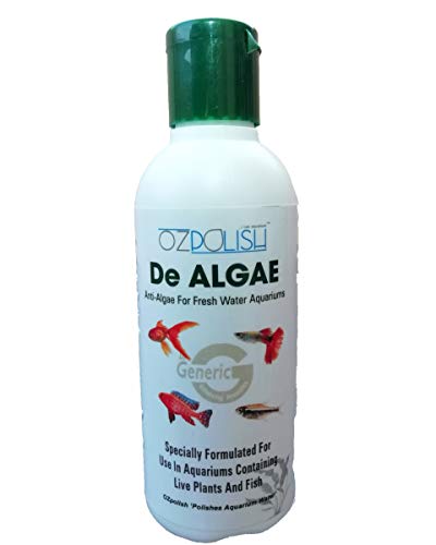 algae killer fish tank