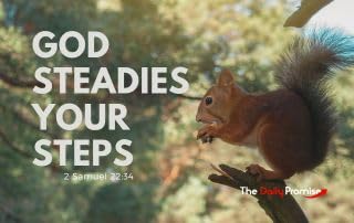 God Steadies Your Steps