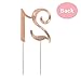 21 Cake Topper - Premium Rose Gold Metal - 21st Birthday Party Sparkly Rhinestone Decoration Makes a Great Centerpiece - Now Protected in a Box