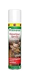 kieselgur giftig bekämpft wirksam Vogelmilben Röhnfried Kieselgur Spray Insektenspray, Kieselgur-Spray gegen Vogelmilben, Ameisen, Spinnen & Insekten, Ungezieferspray für Garten & Wohnung, 400 ml