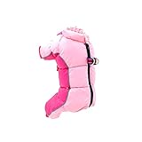 Briskorry Hundemantel Hundejacke für Hunde, Warm gepolstert Puffer Weste Welpen Regenmantel mit Fleece (Pink, S)
