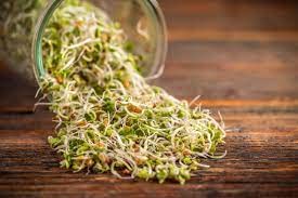 Image of SK ORGANIC Clover Seeds for Microgreens Sprouting and Cultivation (250 GM)