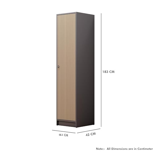Image of Bniture Luxe 1 Door Wardrobe for Bedroom | Almirah for Clothes with 3D Textured Panels | Cupboard for Bedroom with 4 Shelves & Integrated Handle | Wooden Wardrobe with Elevated Base, Grey & Giant Wood