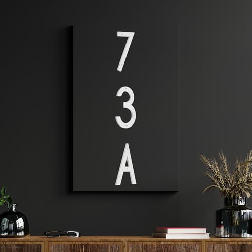 Numéro de maison 10 inch flottant argenté en acier avec vis de fixation