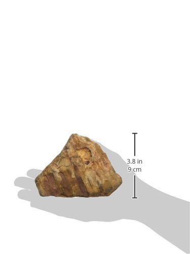 Amtra A8047948 Roccia Petrified S 0,5 K G