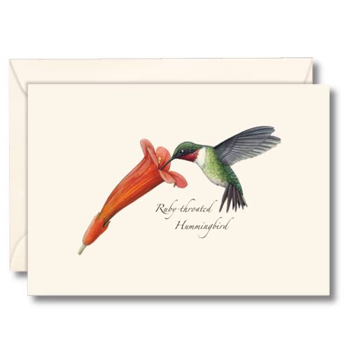 Image of Earth Sky + Water - Ruby-throated Hummingbird & Flower Notecard Set - 8 Blank Cards with Envelopes