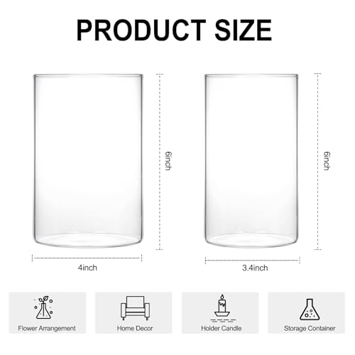 image for Fixwal 12pcs Clear Glass Cylinder Vases, 6 Inch Tall, Modern, Clear, S
