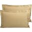 Light Taupe