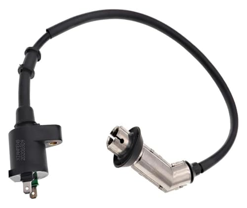 Bobina de encendido para moto GY6 que soluciona los problemas de arranque en ATV 2