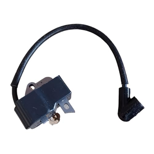 Bobine d'allumage 125 128 pour un démarrage rapide du moteur