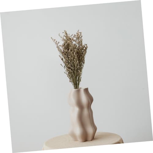Set de 6 Ramilletes de Flores Secas Babysbreath Decorativas miniatura 5