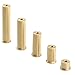 CChiai 5PCS 2/4/6/8/10g Copper Plug Counterweight Tips Set Suitable for 0.33 Inch Golf Club Head and Steel Components