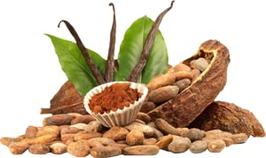 DRAGON Kaktus Feige DIY eliquid Longfill e-Liquid Shake and Vaape e liquid (70% VG/30% PG, zum Mischen mit Base Liquid…