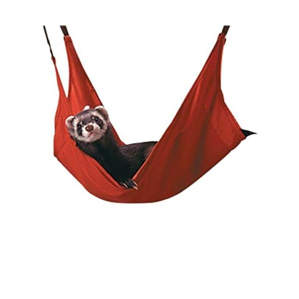 Marshall ferret leisure lounge, colors may vary