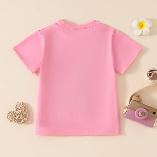 Birthday Girl Print Embroidery Tshirts Tops Little Princess Birthday Outfit Clothes Kids Summer Tees Shirt3