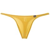 M ベージュ メンズTバック La-PommeHomme 日本製 Tバック 下着 ショーツ 透け感 マイクロ ミニミニ ローライズ 股上浅目