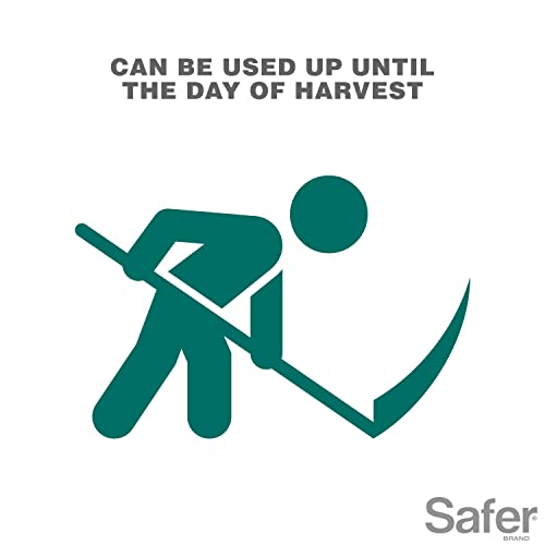 Insect Soap Concentrate