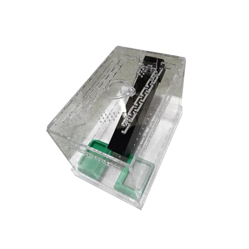 Réservoirs grillons en acrylique ventilé pour observer les insectes