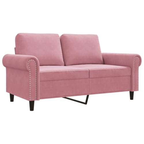 Emmtore Sofá de 2 plazas Terciopelo Rosa 120 cm,Sofá de Descanso Televisió