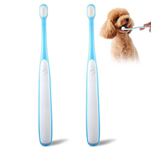 Qulkws 犬と猫の歯ブラシキット 小型犬用歯ブラシ マイクロブラシヘッド 猫&子犬 歯磨きキット ミニヘッドソフトブラシ 子猫&小さなペット用 犬の歯ブラシ ディープデンタルクリーニング ブルー