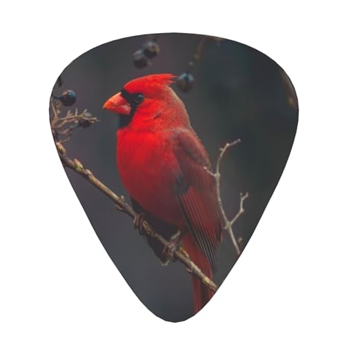 GLM^[x[XpM^[sbN6pbN - lXȌ (0.46mm/0.71mm/0.96mm)A^щ\ASҌi؂̎}Ɏ~܂ԂAm[UJ[fBio[hj