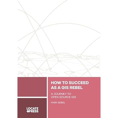 How to Succeed as a GIS Rebel