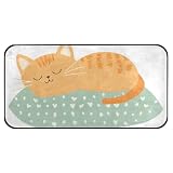 Tappeto per camera da letto della menta del gatto sveglio, tappeti lavabili del bagno, non tappeto di slittamento