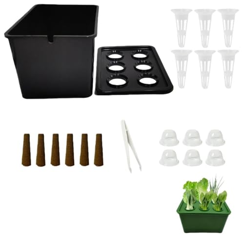 Klivex ƒ͔|p̐k͔|Alȓ̐k͔|eA̖Qk͔|yŖ؂͔|Iz/ʕ/n[u/ԂȂ /Op ŷȂ|{{bNX lGKp ƒ؉ (ubN AbvO[h,4) [sAi]