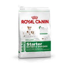 ROYALCANIN Mini Starter 1KG (B076GKWFPV) Amazon Price History, Amazon Price Tracker
