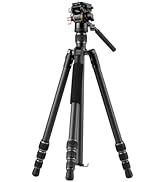 Vanguard Vesta GO 234CV10 Carbon Fiber Travel Tripod with Compact VEO PV-10 Counterbalancing Spri...