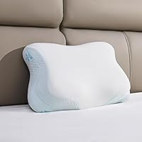 Taie D'oreiller 50x70 Microfibre Premium Lot De 2 Housse Coussin Pour Coussins Canapé/Lit Tissu Super Doux Resistant Et Lavable Hypoallergénique Anti-Acariens Avec Fermeture éclair Invisible