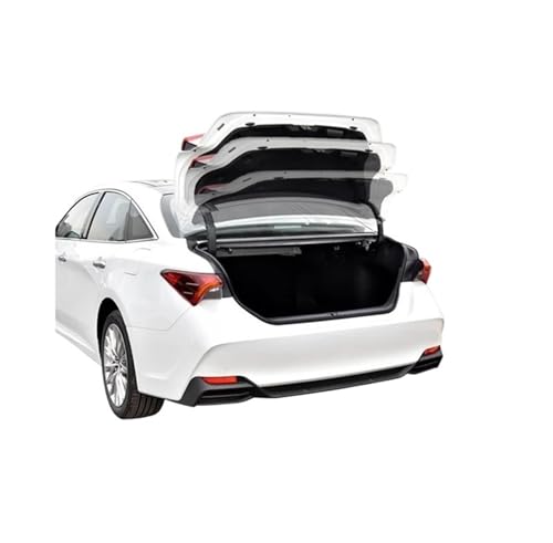 RAV4 Veranda 2020-2023ɓKdtgAhAAe[AAQ[gAgNhCuAX}[gI[vLbgA(Electric Lift)