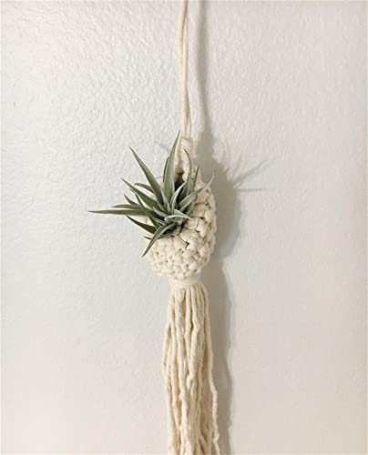 RRMMAN Maceta colgante de macramé con cuentas de madera, decoración para interiores y exteriores, decoración bohemia para el hogar Cover