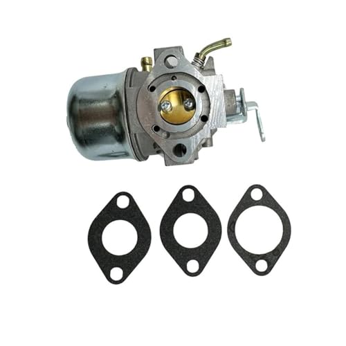 Carburateur de Performance 81-4690 95-7935 CCR300 Moteur Souffleuse