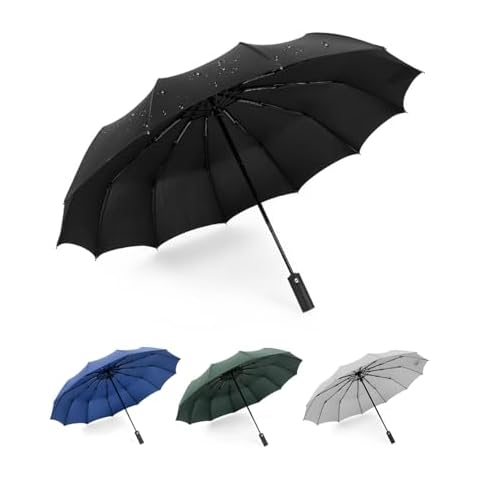Lulizar Windproof Travel Umbrella with Auto Open Cover