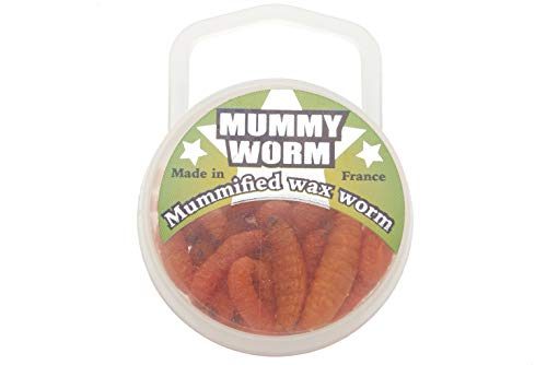 Mummy Worm Natural - 35 Wax Worms - Preserved Live Bait (Orange)