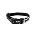 lionto Hundehalsband aus strapazierfähigem Nylon, Größe XS, weiches gepolstertes Halsband für Hunde, 360° reflektierend & Klickverschluss, Metallring & Anpassung durch stufenlosen Schieber, schwarz