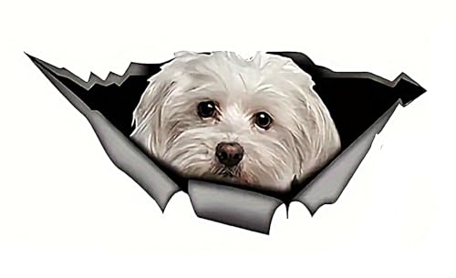 2 PCS Maltese Dog Vinyl Decals Waterproof Removable Pet Stickers for Car Truck Laptop Motorcycle A-44