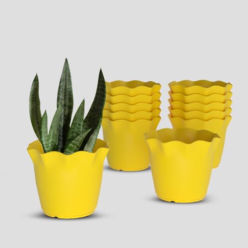 Image of YUCCABE ITALIA SHERA 8 Inch Plastic Flower Pot 12 Piece Set of Unbreakable Round Shape Planter for Home Garden Seedling, Indoor and Outdoor (Yellow)