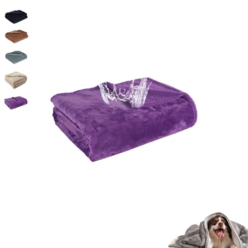 h uPbg Jbvp ybg uPbg h  ʋC 􂦂 G| ybg ėp  ʂӂӂ\tg VO Z~_u _u \t@Jo[ gщ\Ő@Ή L ƒԓőΉ (100*145CM,) [sA