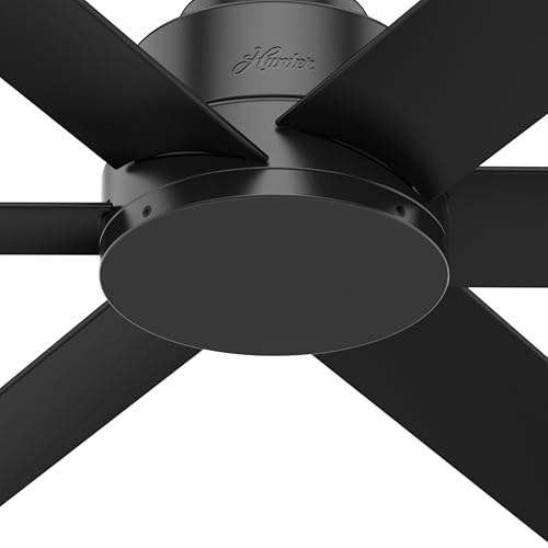 Hunter 44 inch Outdoor or Indoor Ceiling Fan No Light - Black Ceiling Fan without Light, For Patio, Porch, Garage, or Living Room, Standard Mount, 6 Blades, Wall Control - Kennicott 59613, Matte Black