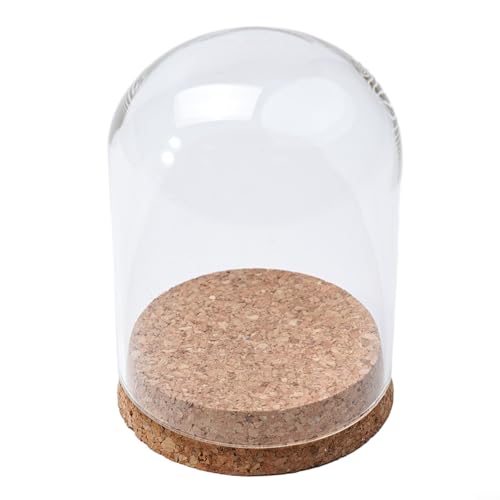 Campana a cupola in vetro per piante grasse, terrario decorativo con base in sughero in legno, contenitore in vetro fatto a mano, decorazione per casa e ufficio (8 x 10 cm)